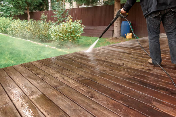 Best Driveway Pressure Washing  in Desnso, CA